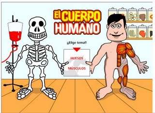 EL ESQUELETO HUMANO